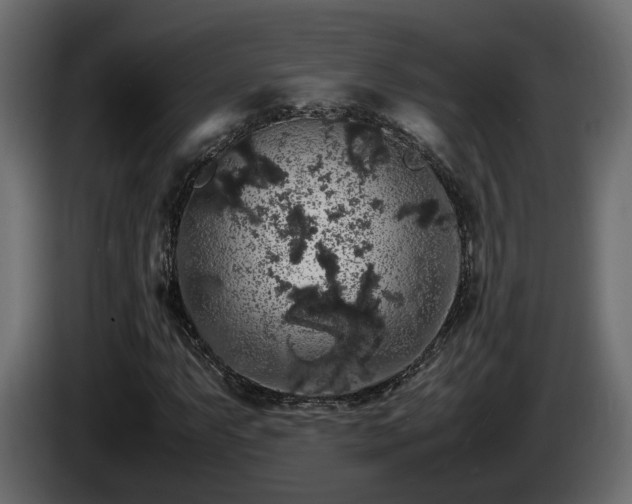 X0000085841063200703231437