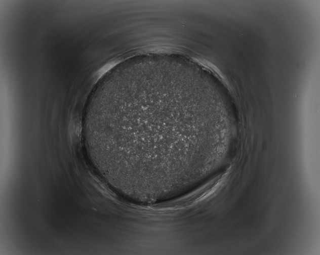 X0000085841065200703231437