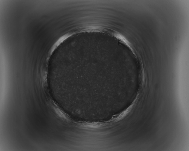 X0000085841066200703231437