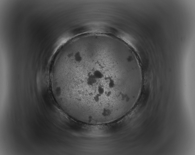 X0000085841067200703231437