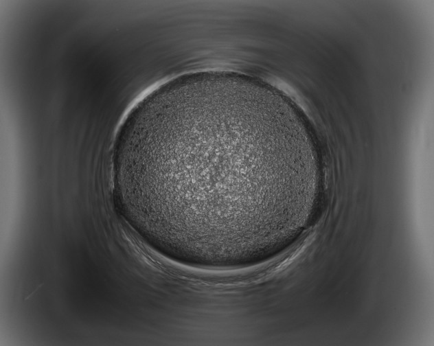 X0000085841069200703231437