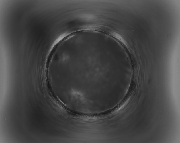 X0000085841071200703231437
