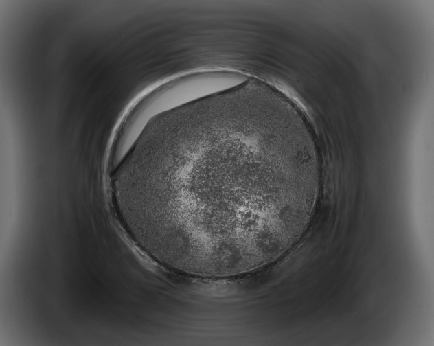 X0000085841072200703231437