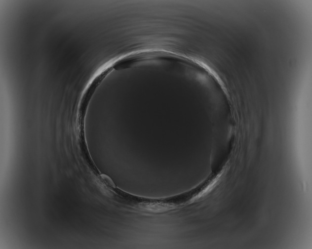 X0000085841077200703231437