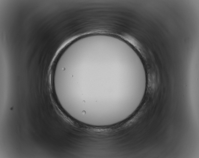 X0000085841078200703231437