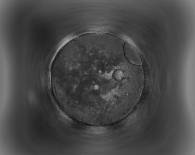 X0000085841079200703231437