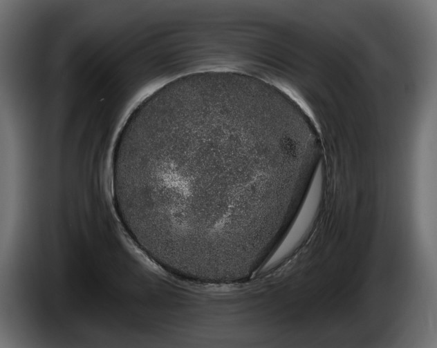 X0000085841080200703231437