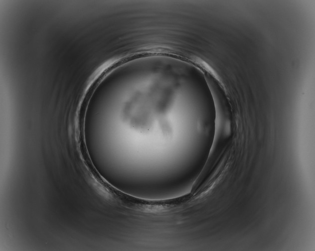 X0000085841082200703231437