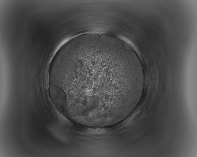 X0000085841083200703231437