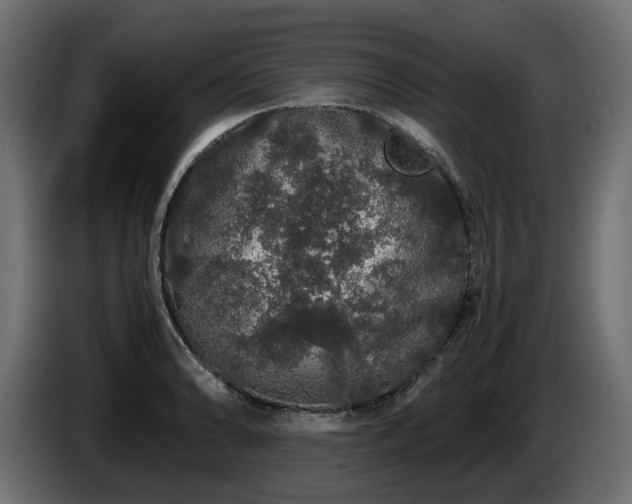 X0000085841086200703231437