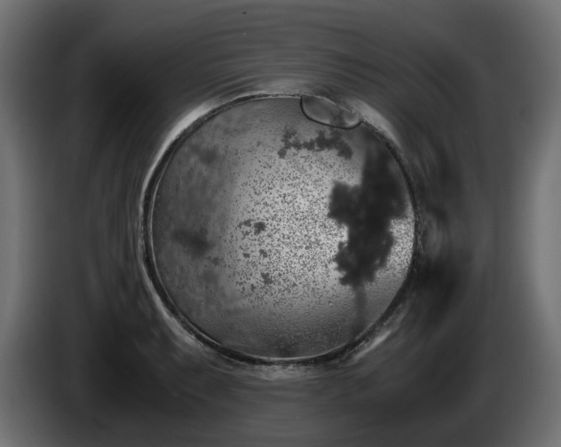 X0000085841087200703231437