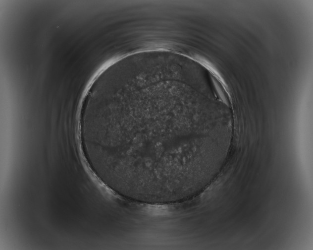 X0000085841088200703231437