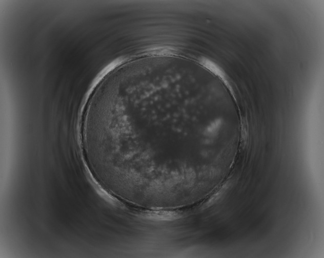 X0000085841090200703231437