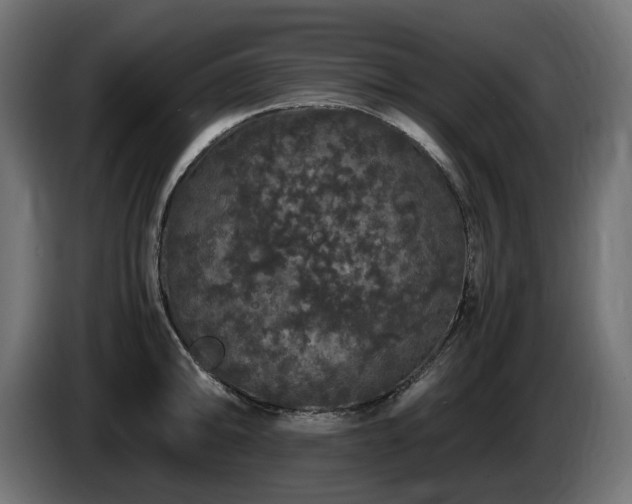 X0000085841094200703231437