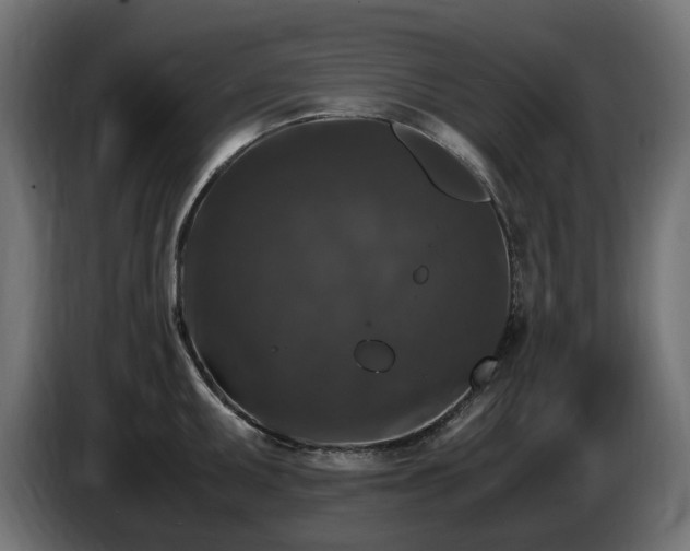 X0000085841095200703231437