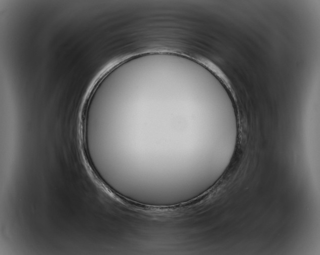 X0000085841096200703231437