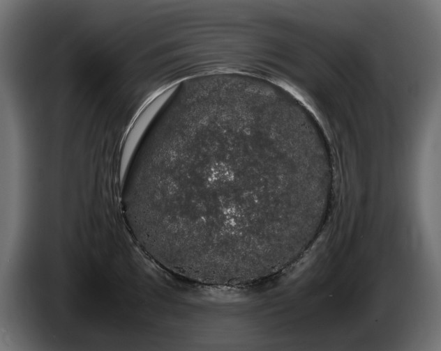 X0000085841097200703231437