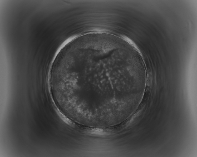 X0000085841098200703231437