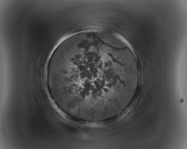 X0000085841099200703231437