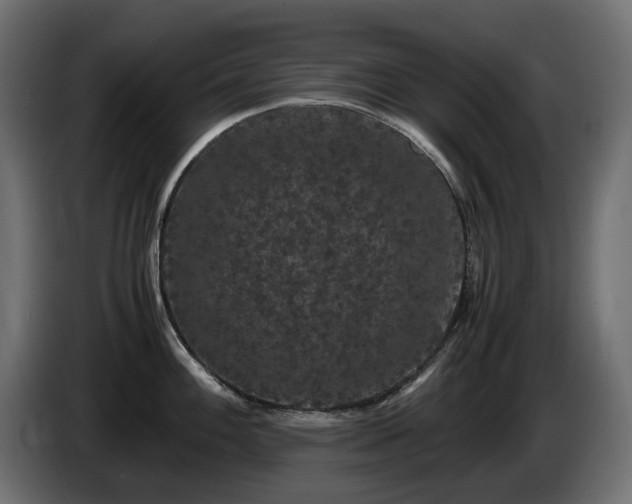 X0000085841100200703231437