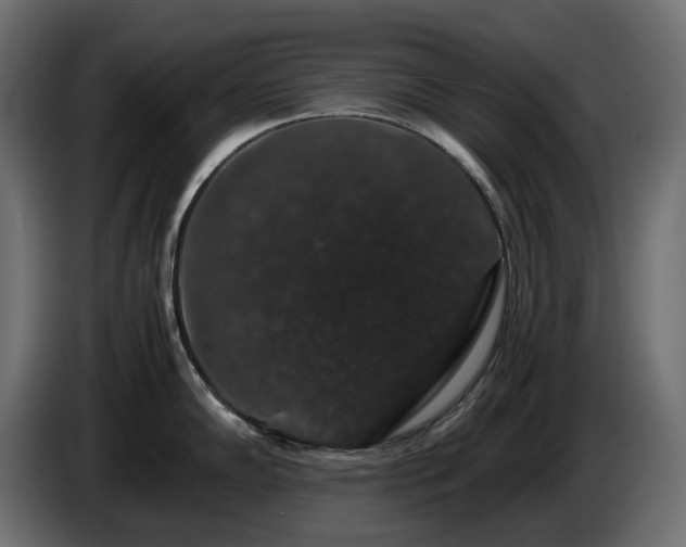X0000085841102200703231437