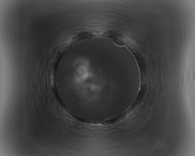 X0000085841106200703231436