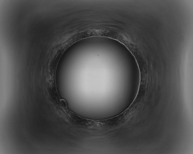 X0000085841109200703231436