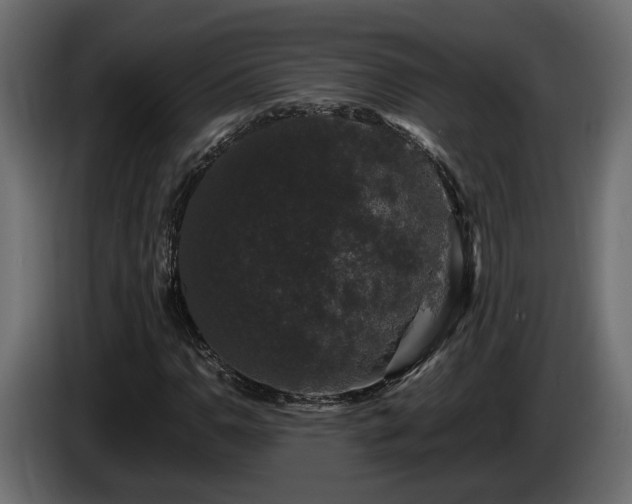 X0000085841110200703231436