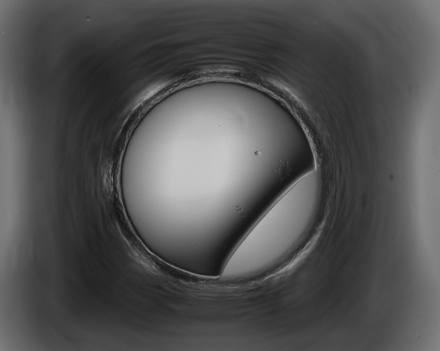 X0000085841113200703231436