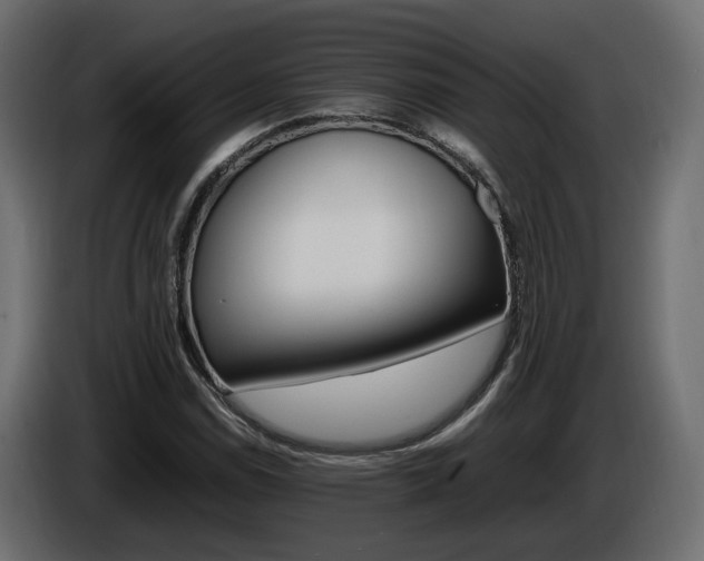 X0000085841114200703231436