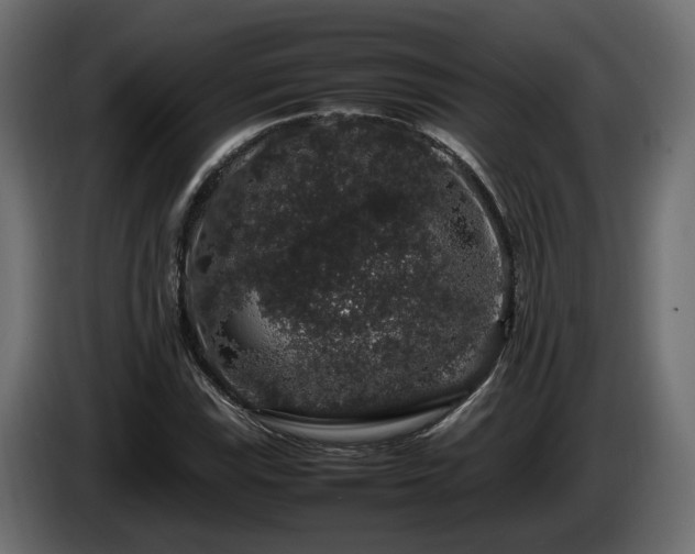 X0000085841115200703231436