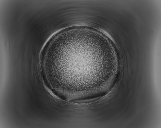 X0000085841116200703231436