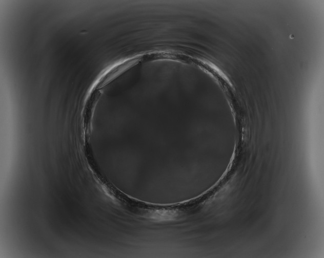 X0000085841117200703231436