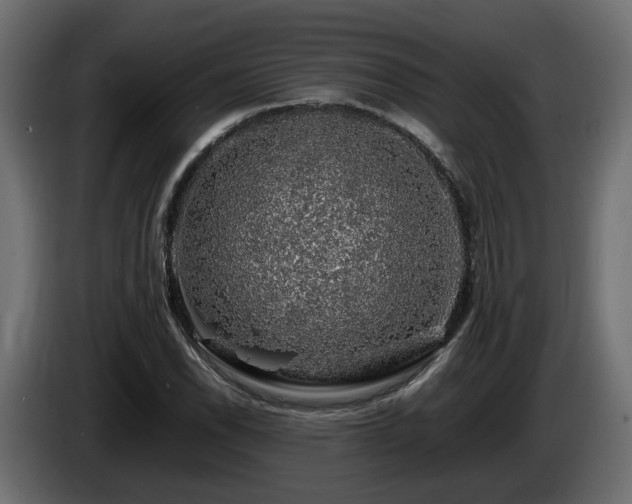 X0000085841118200703231436