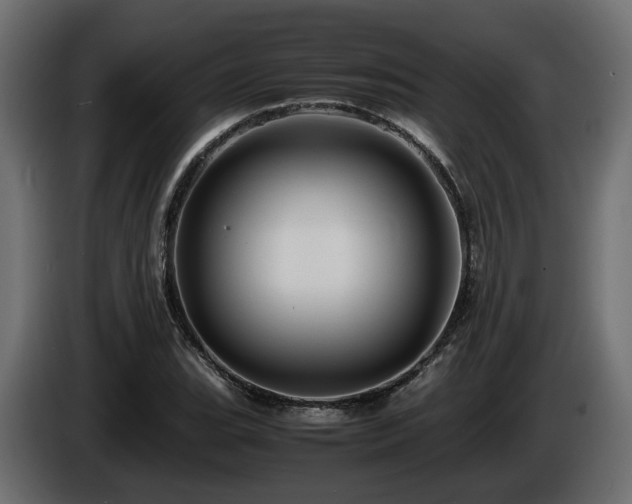 X0000085841119200703231436