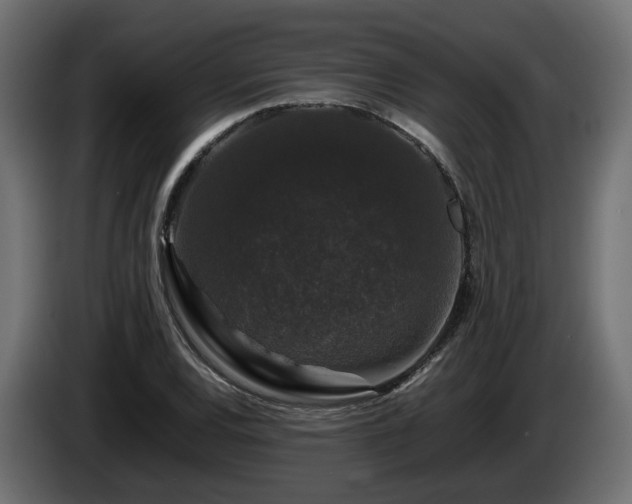 X0000085841120200703231436