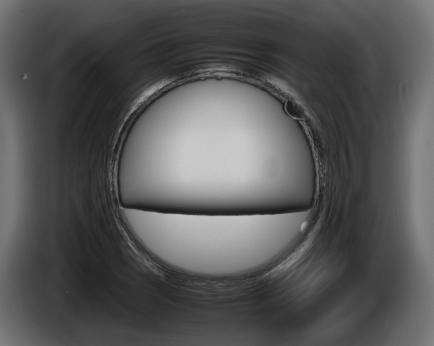 X0000085841121200703231436