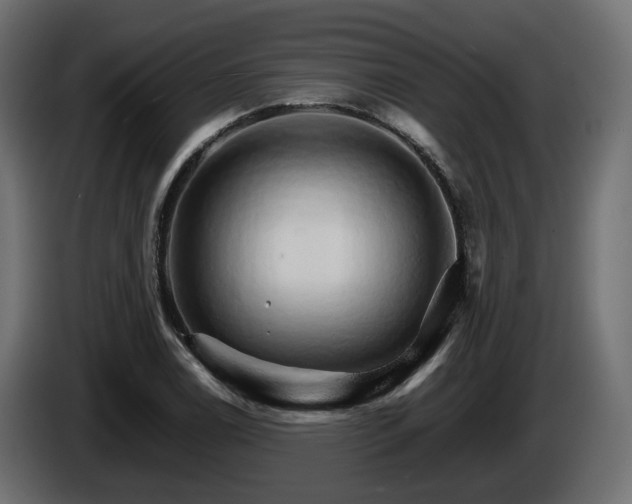 X0000085841122200703231436