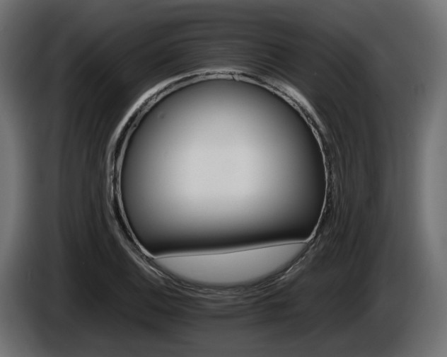X0000085841124200703231436