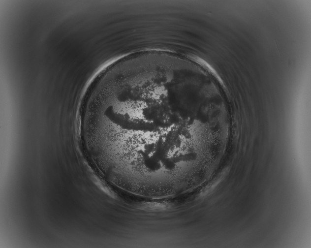 X0000085841125200703231436