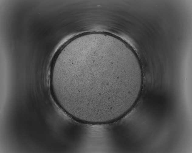 X0000085841126200703231436