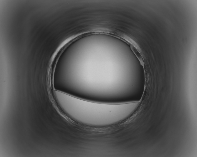 X0000085841128200703231436