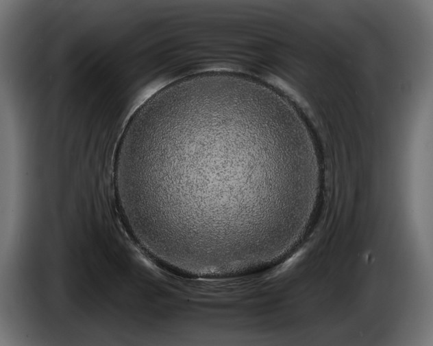 X0000085841129200703231436