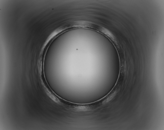 X0000085841130200703231436