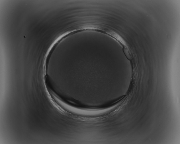 X0000085841132200703231436