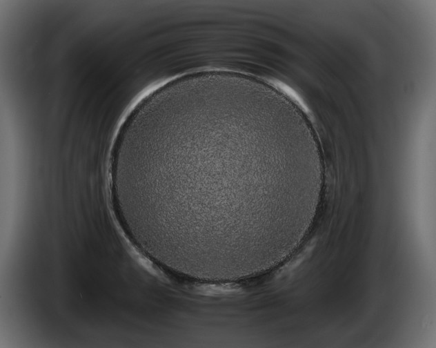 X0000085841133200703231436