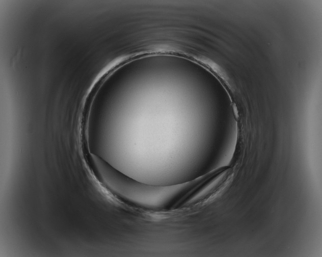 X0000085841134200703231436