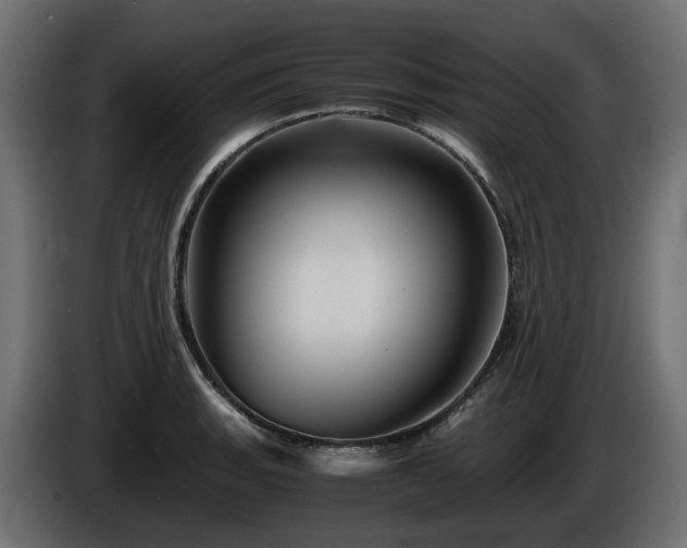 X0000085841135200703231436