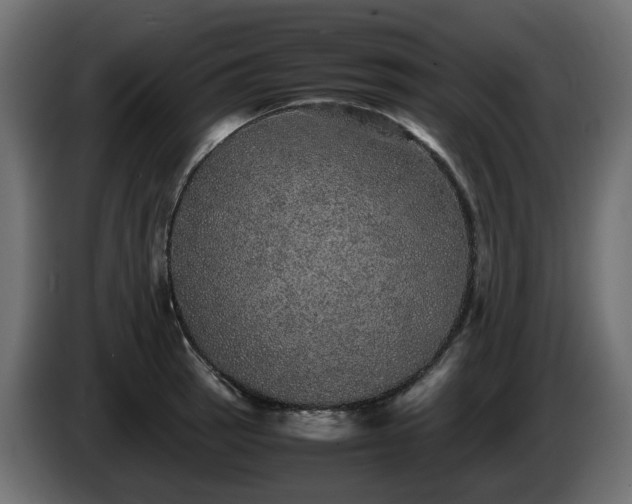 X0000085841137200703231436