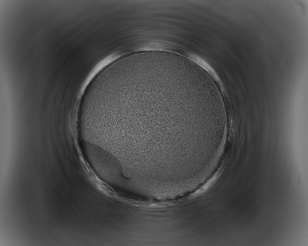 X0000085841138200703231436